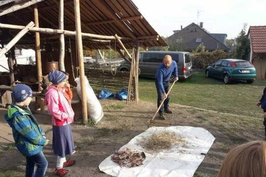 Od zrnka k chlebu 1