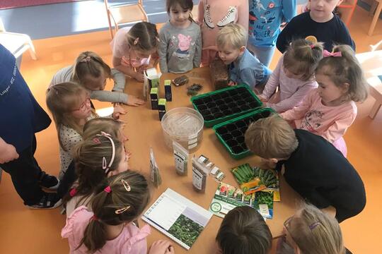 Microgreens 1